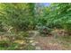 Stone pathway winds through the verdant backyard, creating a tranquil garden setting at 1270 Taylor Oaks Dr, Roswell, GA 30076
