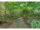 Serene backyard path leading through lush greenery, offering a peaceful escape at 1270 Taylor Oaks Dr, Roswell, GA 30076