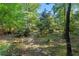 Charming backyard pathway framed by lush foliage and mature trees, creating a private retreat at 1270 Taylor Oaks Dr, Roswell, GA 30076