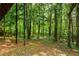Lush backyard view featuring mature trees that offer plenty of shade at 5355 Highland Pine Ln, Mableton, GA 30126