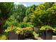 Professionally landscaped front yard with manicured shrubs at 130 Hamilton Way, Roswell, GA 30075