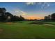 Picturesque golf course view at sunset; lush green fairway with mature trees at 1525 Lake Dow Rd, Mcdonough, GA 30252