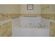 This bathroom includes a luxurious tub with hydrotherapy jets and sturdy safety bars at 502 Brookline Pl, Mcdonough, GA 30252