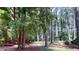 Tranquil yard with mature trees, offering a serene and private outdoor space at 203 Cedar Creek Ct, Acworth, GA 30101