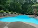Beautiful pool with rock feature surrounded by lush greenery, offering a serene escape at 125 Sir Lancelot Ct, Fayetteville, GA 30214
