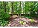 Wooded backyard with a bench, providing a private and peaceful retreat at 340 Channings Lake Dr, Lawrenceville, GA 30043