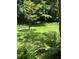 Lush backyard featuring a large lawn and mature trees, offering a serene outdoor space at 276 Colewood Nw Way, Atlanta, GA 30328