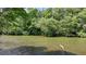 Scenic view of the river surrounded by lush trees and foliage at 1595 Northcliff Trce, Roswell, GA 30076