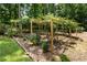 Lush garden featuring a pergola, blooming plants, and neatly manicured landscape at 321 Crabtree Court, Marietta, GA 30068
