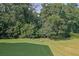 Well-maintained backyard with a fire pit and a border of mature trees, offering a serene outdoor space at 4445 Hager Ct, Cumming, GA 30040