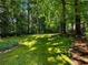 Lush backyard with green grass and mature trees, creating a private and serene outdoor retreat at 2348 Logan Ne Cir, Brookhaven, GA 30319