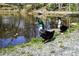 Scenic pond view with ducks on the grassy bank, creating a serene natural setting at 502 Hascall Nw Rd, Atlanta, GA 30309