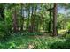 Lush wooded backyard of the property at 2550 Laurel Ridge Dr, Decatur, GA 30033