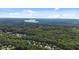 Panoramic aerial of the community, showcasing lush greenery, homes, and a serene lake in the distance at 428 Gold Xing, Canton, GA 30114
