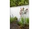 Charming patio with wrought-iron furniture, accented by a climbing rose bush and manicured garden at 7098 Stonington Dr, Atlanta, GA 30328