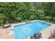 Aerial view of a pristine pool and beautifully landscaped backyard at 505 Armor Knl, Powder Springs, GA 30127