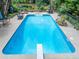 A full view of a backyard pool featuring a diving board, patio furniture, and lush greenery at 505 Armor Knl, Powder Springs, GA 30127