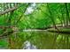 Creek surrounded by green trees at 4875 Churchill Ridge Dr, Cumming, GA 30028
