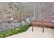 Outdoor patio with green bushes and trees overlooking creek at 4875 Churchill Ridge Dr, Cumming, GA 30028
