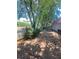 View of fenced backyard featuring a wooded area, offering privacy and a natural setting at 5022 Anclote Dr, Alpharetta, GA 30022