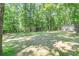 Large backyard surrounded by mature trees, a greenhouse, and small shed at 686 Hillwood Ct, Dacula, GA 30019