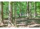 Lush backyard with mature trees creates a tranquil and private outdoor space at 686 Hillwood Ct, Dacula, GA 30019