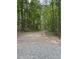 Gravel walking trail lined with trees and sunlight, perfect for walking and biking at 331 Terrell Sw Dr, Marietta, GA 30064