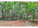 Serene backyard landscape featuring a path through tall trees, offering a peaceful and natural setting at 6520 Fairfield Trce, Suwanee, GA 30024