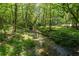 Scenic view of a small flowing creek surrounded by lush green trees and vegetation in a wooded area at 1961 Luke Edwards Rd, Dacula, GA 30019
