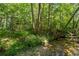 Scenic view of a small flowing creek surrounded by lush green trees and vegetation in a wooded area at 1961 Luke Edwards Rd, Dacula, GA 30019