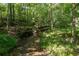 Scenic view of a small flowing creek surrounded by lush green trees and vegetation in a wooded area at 1961 Luke Edwards Rd, Dacula, GA 30019