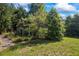 Overgrown outdoor structure surrounded by lush greenery and a lawn in disrepair at 1961 Luke Edwards Rd, Dacula, GA 30019