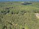 Aerial view of a wooded lot with mature trees surrounded by woods and a few other homes at 4120 Grady Smith Rd, Loganville, GA 30052