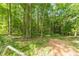 Heavily wooded lot with lots of mature trees provides lots of privacy at 4120 Grady Smith Rd, Loganville, GA 30052