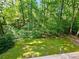 Green backyard with trees viewed from deck at 713 Trickum Valley Dr, Woodstock, GA 30188