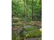 Moss-covered steps wind through a private, wooded backyard retreat at 713 Trickum Valley Dr, Woodstock, GA 30188