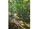 Wooded backyard featuring a lush, mossy pathway at 713 Trickum Valley Dr, Woodstock, GA 30188