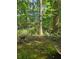 View of the back of the home through a verdant, wooded backyard at 713 Trickum Valley Dr, Woodstock, GA 30188