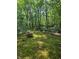Secluded backyard with lush greenery and unique bird bath feature at 713 Trickum Valley Dr, Woodstock, GA 30188