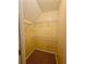 Walk-in closet featuring white wire shelves and neutral carpet at 713 Trickum Valley Dr, Woodstock, GA 30188
