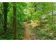A well-worn path through a lush and green forest makes a great walking trail at 4486 Huffman Drive Ne Dr, Roswell, GA 30075