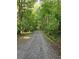 Long gravel driveway surrounded by lush green trees, highlighting the property's secluded and natural setting at 5350 Mercedes Dr, Cumming, GA 30041