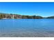 Calm lake view with wooded shoreline and clear blue sky at 5350 Mercedes Dr, Cumming, GA 30041