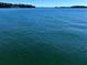 Expansive view of a calm lake, showing the serene and scenic waterfront landscape at 5350 Mercedes Dr, Cumming, GA 30041