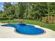 A beautiful kidney-shaped pool and spa are surrounded by manicured lawn and mature trees at 6455 Darely Ct, Cumming, GA 30040