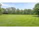 Vast grassy backyard features lush greenery and plenty of room to enjoy at 5709 Center Hill Church Rd, Loganville, GA 30052