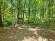 Backyard view of an old shed surrounded by trees at 5020 Bayberry Dr, Cumming, GA 30040
