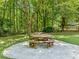 Outdoor living: a backyard picnic table is set on a concrete pad, surrounded by lush trees at 5020 Bayberry Dr, Cumming, GA 30040
