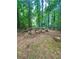 Backyard with wooded fire pit area featuring log benches and seats for outdoor entertaining at 227 Bennett Farms Trl, Acworth, GA 30102