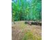 Wooded backyard view featuring logs and trees at 227 Bennett Farms Trl, Acworth, GA 30102